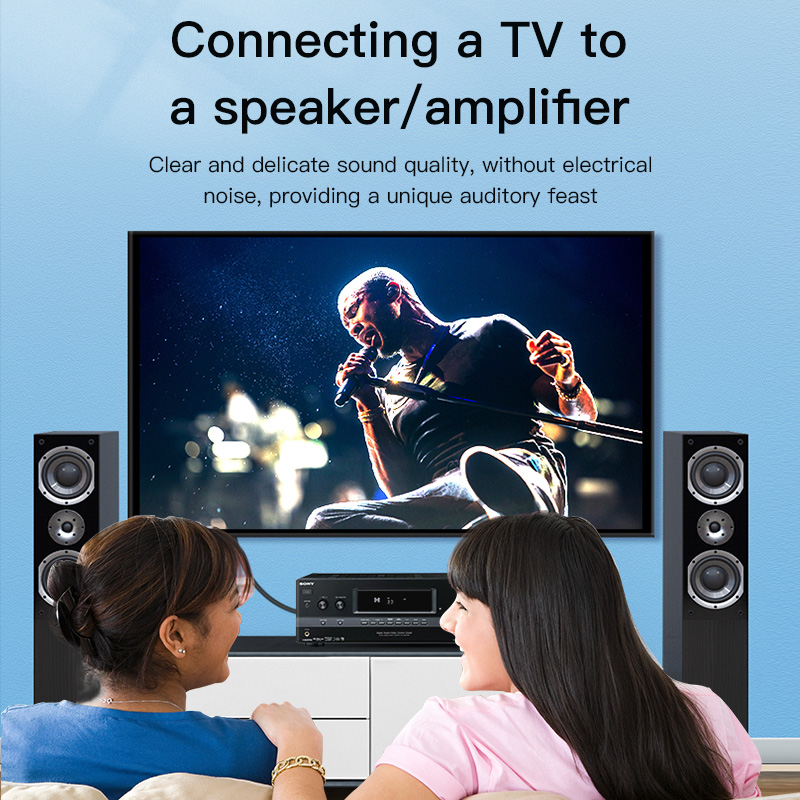 CHOSEAL RCA Cable Digital Coax - огляд і ціна Klipsch Home Cinema
